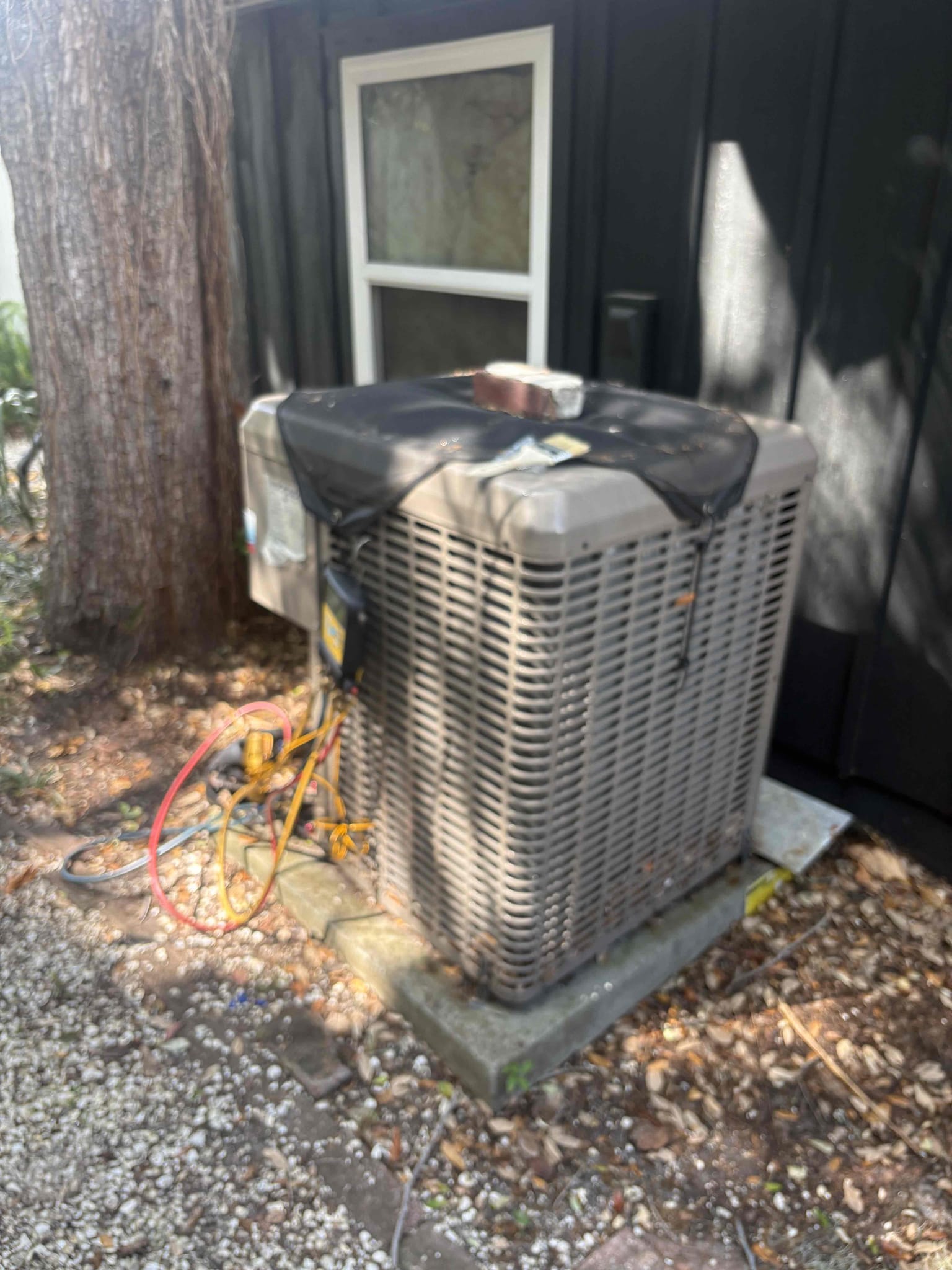 Upon arrival home owner states outdoor unit is not operating. Found high/low voltage coming into condenser. Found defrost board shorted due to lizards/roaches behind board. Bypassed board for temporary cooling. Verified system operations after. Unit is currently cooling but will need to replace outdoor board. 

System is out of warranty due to being second owner. Explained system is 9 years of age and nearing end life expectancy. Home owner would like to repair system.