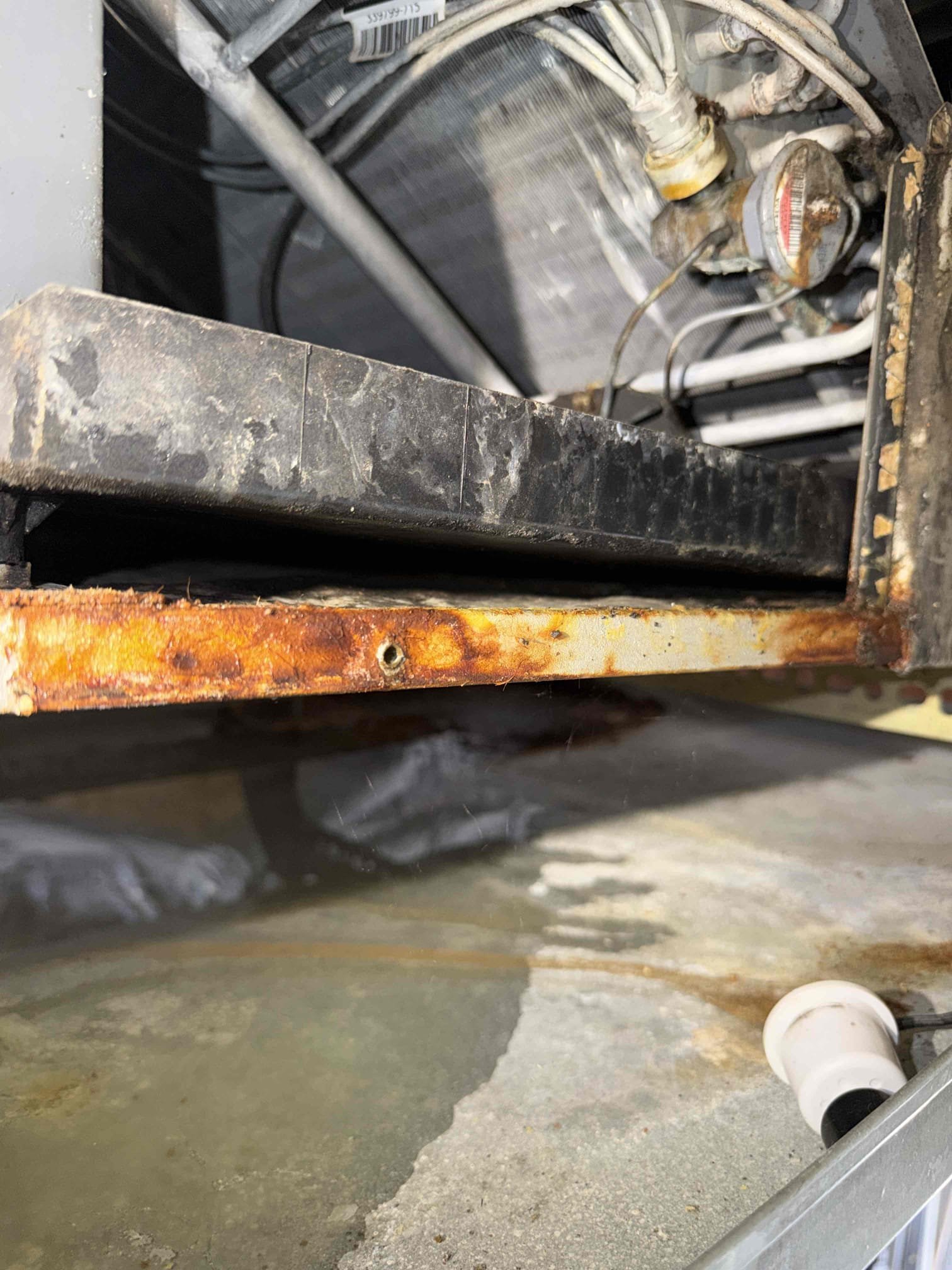 Found clogged drain line. Unit is not pitched properly so any clog is going to cause water to flow over the primary pan and saturate the unit until it fills up the secondary emergency pan. 
Clean/treat drain line and primary drain pan
Install p trap on drain
Install new capacitor
Charge system with 2 lbs refrigerant
Maitenence membership
Performed first Maitenence on system. 
Waive $95 with membership
10% off repairs

Blower wheel is very dirty and impacted with growth, but client would not like to clean at this time.

After adding refrigerant, I was able to achieve proper sub cool. However, if refrigerant is lost again in the future then we will need to inspect for a leak.