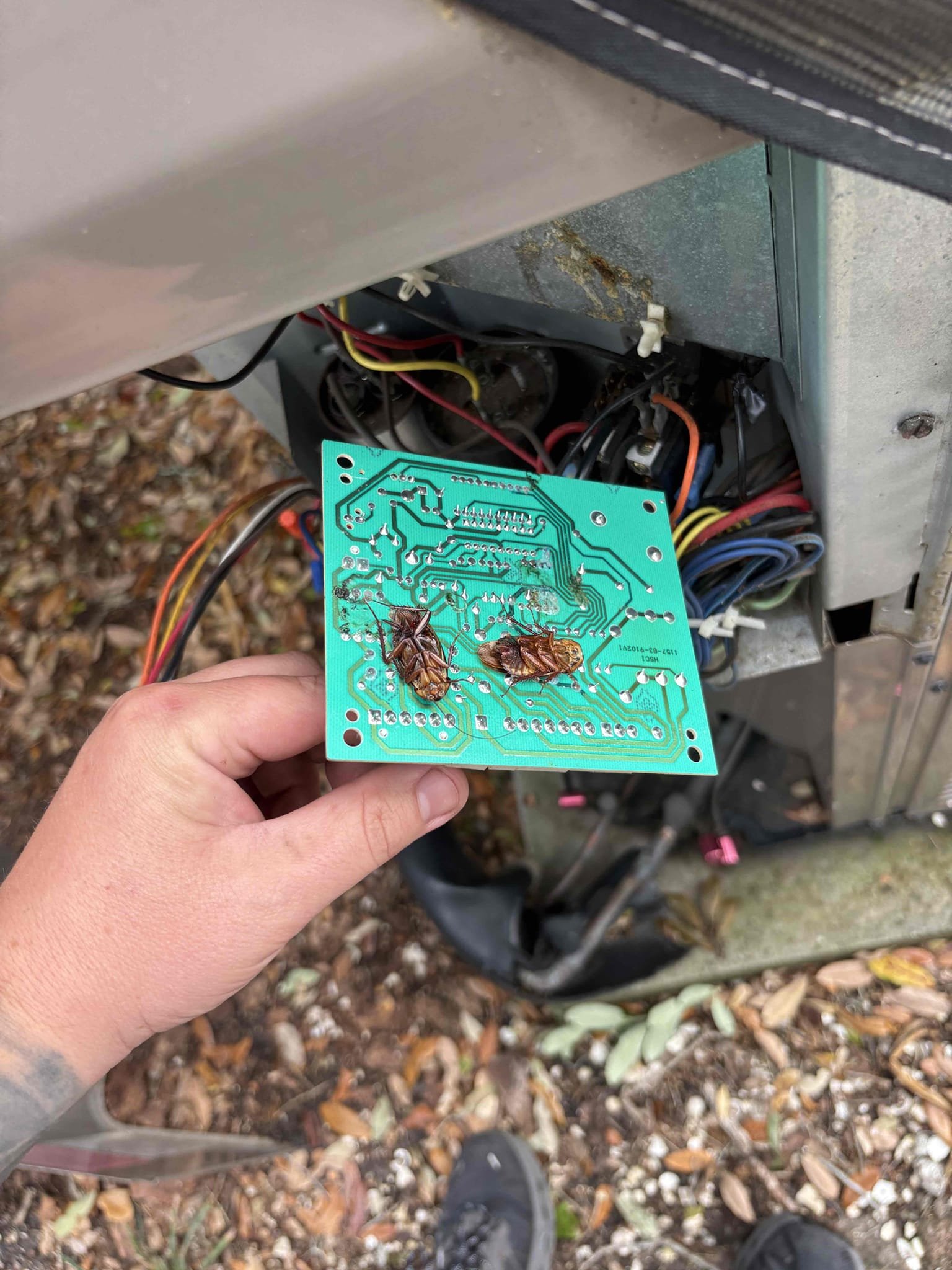 Replacing outdoor temp and ambient sensor complimentary 

Taped up access points for potential lizards/bugs 

Sprayed board and components with repellant 

Verified system operations after completing repairs 