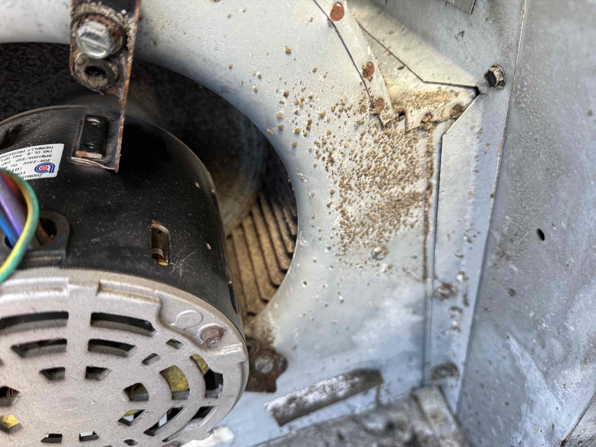 Performed maintenance on 2 systems. Cleared pans and drains. Added chemical to help prevent growth. Found both blower wheels to be heavily impacted and need cleanings. Found package unit to have weak fan capacitor and worn contactor. Upstairs unit does not have primary float switch. Upstairs unit also has worn contactor and low on refrigerant. Will submit estimates for cleanings and repairs.