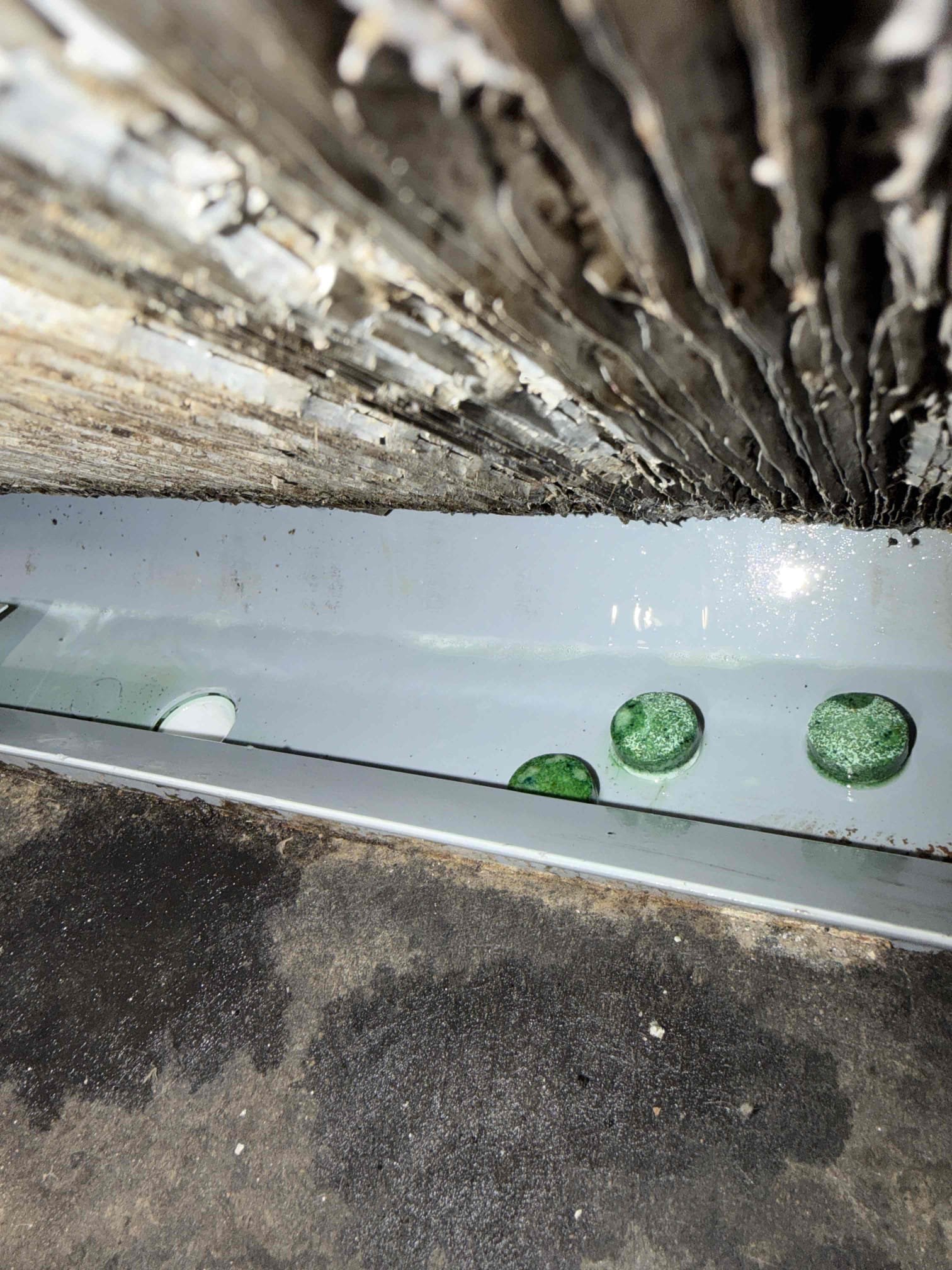 Performed Maitenence on system. Cleaned/treated drain line and primary drain pan. Could not access the end of the drain line due to brush and plants being in the way. Cleaned condenser coils. Evaporator coils are clean but very damaged. Verified safety float switch functionality. Checked amp draw on compressor. Checked amp draw on fan motor. Checked capacitor is within factory range. Inspected Contactar. Contactar is chattering and at the end of its life span, we recommend replacing. Found low voltage wires exposed to the elements and we recommend making new connections while also sealing the wire in the condenser service panel. Made sure all connections are tight. System is cooling with an 18° temperature split at this time.

Blower wheel is very impacted with debris and growth. Recommending cleaning