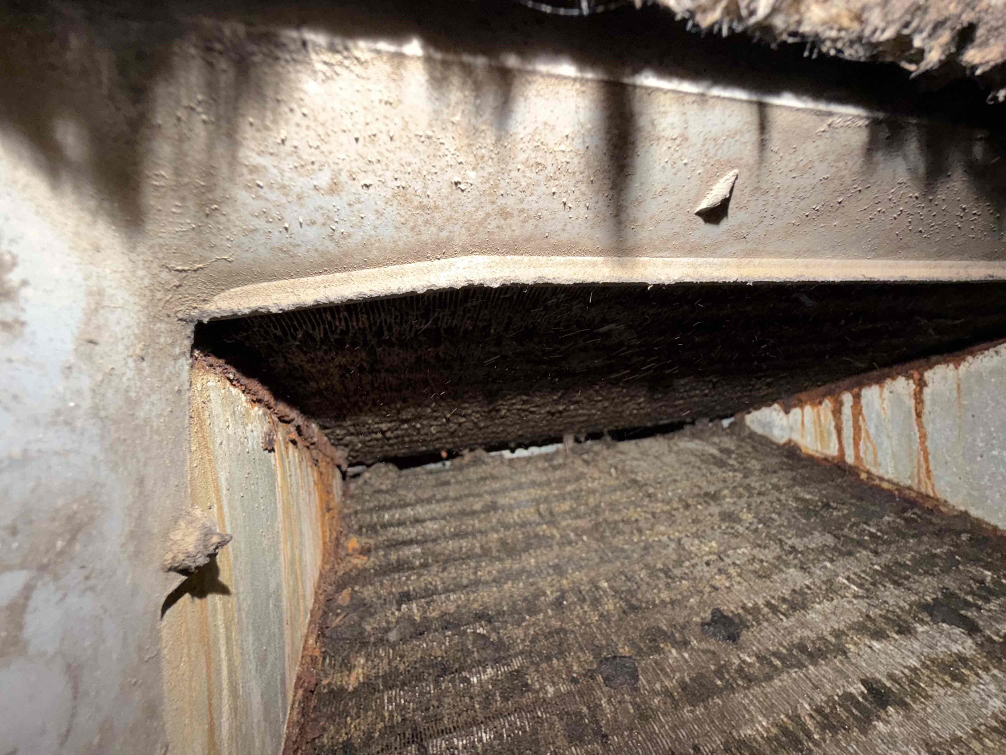 Client states outdoor unit is not coming on. Upon my inspection found the contactor was completely infested with ants. This contactor needs to be replaced. Replaced contactor and started system. Performed first maintenance on system. System is mismatched with a 2019 condenser and a 2008 air handler. The air handler is in very very poor condition. The evaporator coil is completely plugged up, rusted and corroded. The blower wheel is very impacted with debris. There is large amounts of growth throughout the air handler.
Advise client that they should prepare for a new system relatively soon. System is cooling with an over 20° temperature split at this time. System is at risk of freezing up with the completely impacted dirty coils.