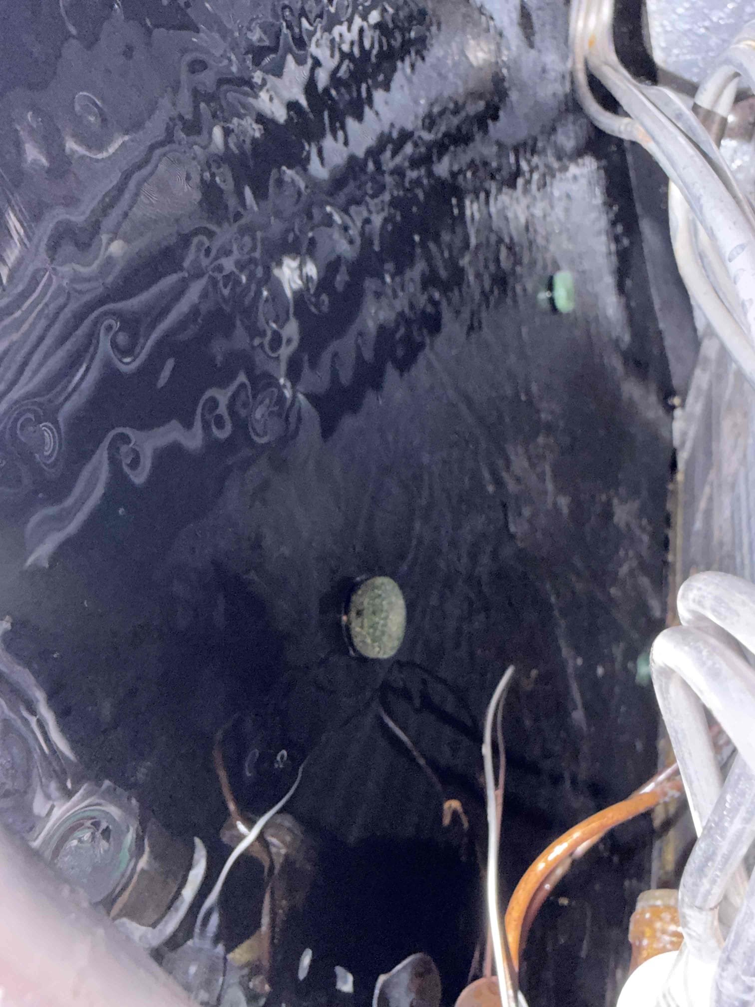 Client state system is not keeping up with temperature. Found a severely clogged drain line and a trip to float safety switch. Also found a weak capacitor. Replaced the capacitor and performed a drain cleaning and treatment. Client signed up for maintenance plan, and I performed the first Maitenence. With an 18° temperature split good amp draws and clean coils. Cleaned the condenser coils.