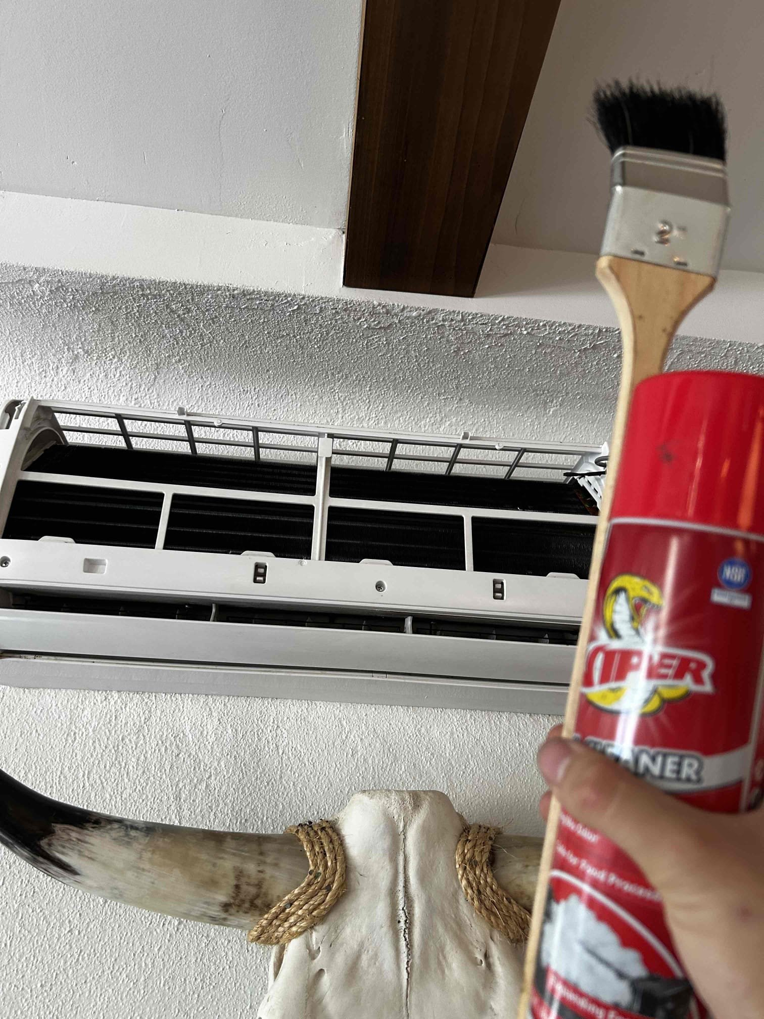 Upon arrival, I took a temperature difference between the supply and the return of the mini split and I had a 25° difference being in a healthy range. Moving onto cleaning the condenser coils, and cleaning the inside coils. The blower wheel was impacted with bacterial growth and dust, which I recommend recommended to the homeowner to do a poll and clean, which she agreed upon, but wanted to discuss with her husband and will reach out sometime this week to schedule the appointment. If you have any questions, please reach out. Thank you for your business. Have a great day. 