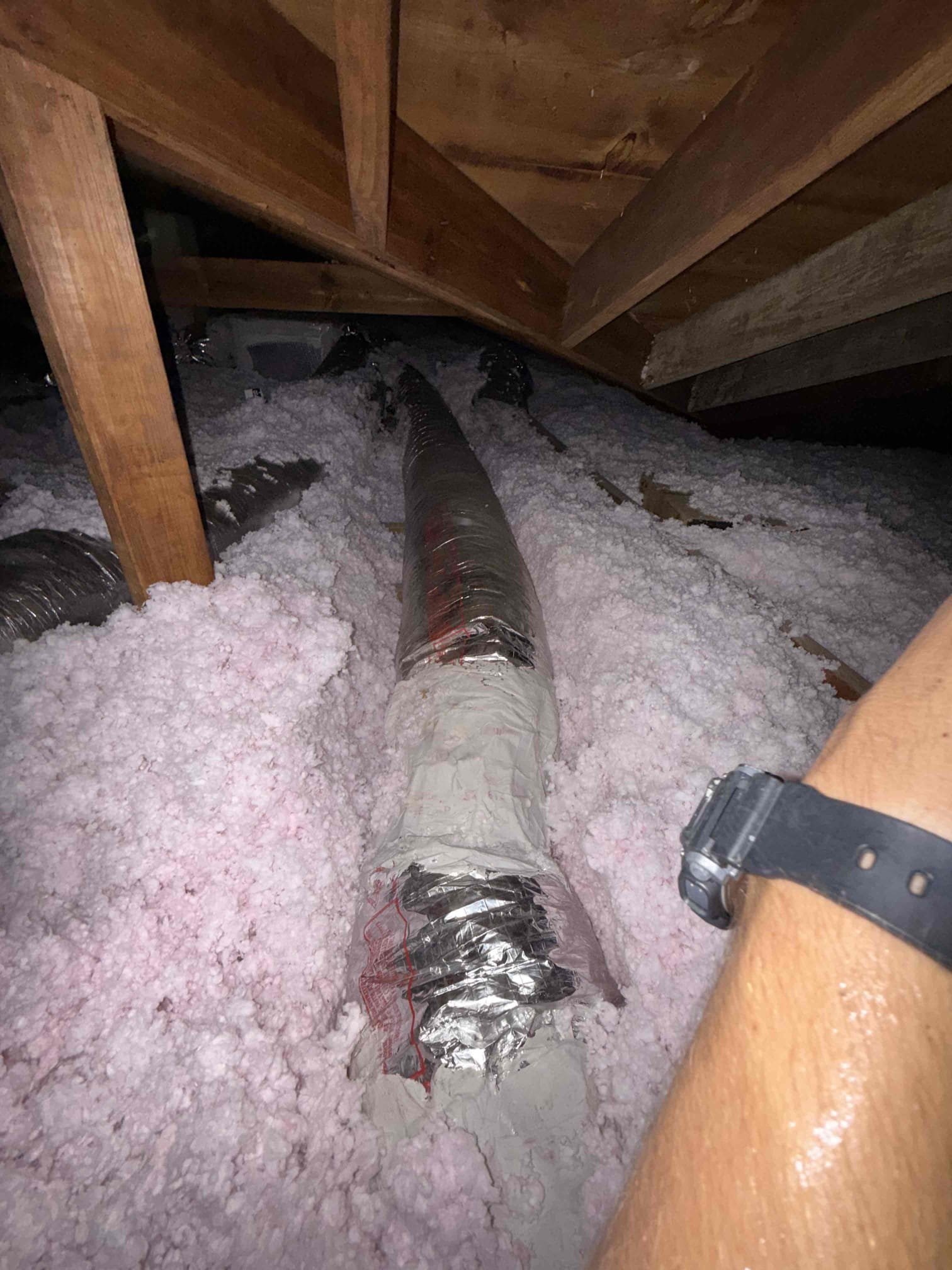 Pull and clean blower assembly to remove biological growth. 
Replace 10 ft of low voltage wire at condenser due to exposed wire
