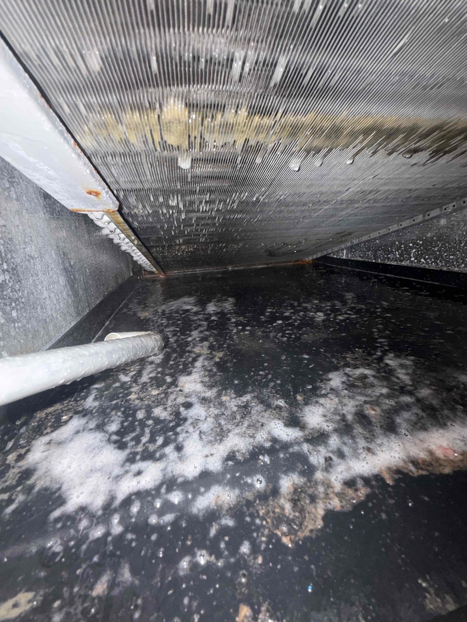 Client states that system is leaking water in the ceiling. They cleaned out the drain line yesterday and adjusted the pitch on the drain line. Upon my inspection, I found secondary safety pan full of water and system off due to safety float switch. Tested safety float switches and both are operational. We have a few concerns with the system. This system has a not great 15-16° temperature split, faulty TXV, And dirty evaporator coil. The Insulation inside the air handler is compromised with water which decreases the Rvalue. I added a pound of refrigerant to diagnose a bad TXV. 
Client would like to have us clean drain line and remove water from secondary pan to buy some time and we are providing quotes for system replacement. 
No guarantee on drain cleaning solving issue system is having as there are other obvious issues present. 