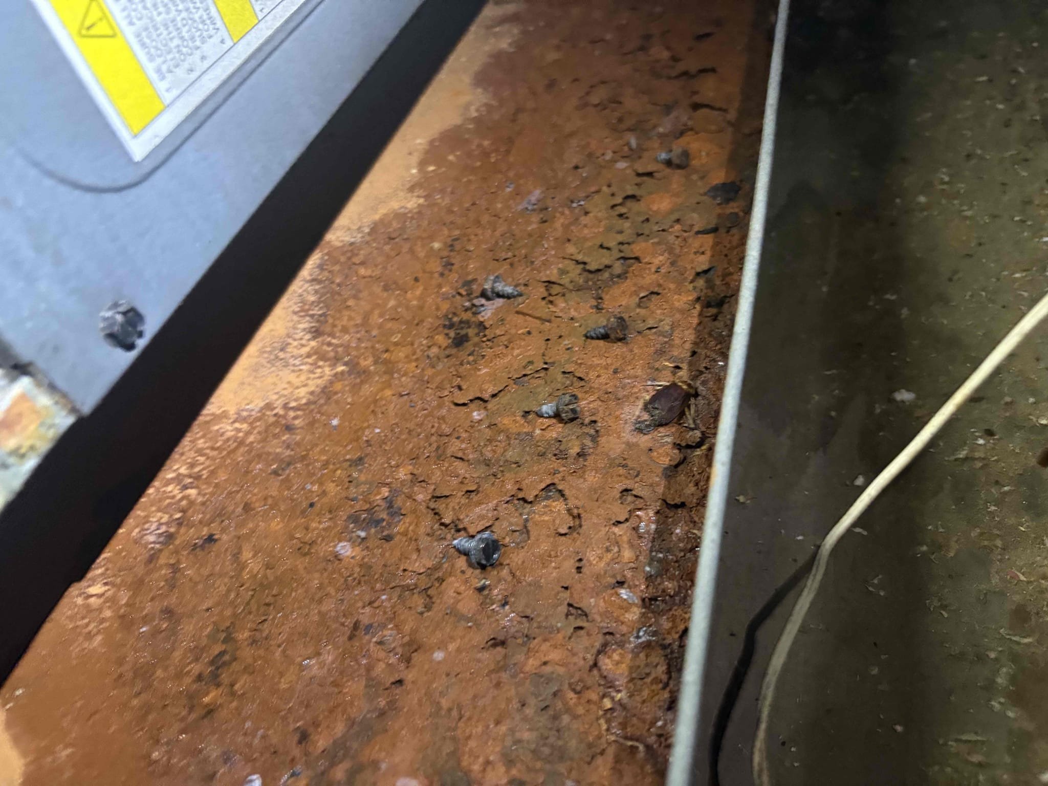 Diagnostic 
-system low on refrigerant causing unit to short cycle 

Further Notes
-air handler disconnect bypassed 
-bacterial growth on blower wheel and air handler interiors 
-secondary drain pan heavily rusted 
-no primary safety overflow 

System is 14 years of age 

Went over repair vs replacement options 

Audible leak in outdoor unit. Found cap tubes rubbing out and leaking. Removed refrigerant and welded tubes shut. Pressure tested and charged system back to factory specifications 

Unit is currently operating within manufacture specifications. Explained dangers and potential further damage when repair system this age. 
Waived leaked search and diagnostic charge 