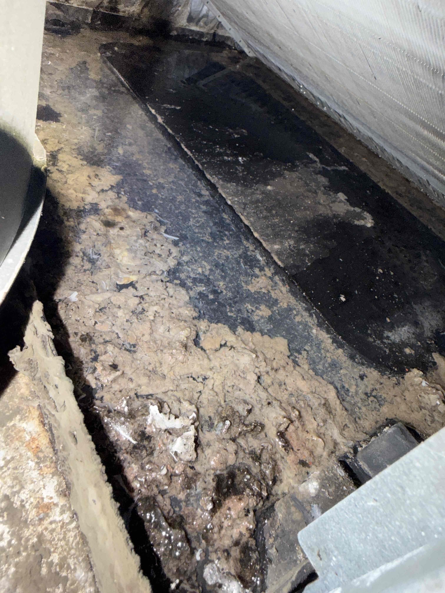 Upon my inspection, found air handler above garage ceiling is leaking water. Found the primary drain pan and drain line are severely clogged with debris. Performed a drain cleaning and treatment on primary pan and drain line. Discovered that the unit/drain pan is not perfectly leveled properly which is allowing for water to sit in the primary pan instead of easily escaping through the drain line. This system has worked this way since it was installed so we did not make any modifications today as the system is 12 years old. 
After cleaning the drain pan and line, I checked cooling functions. The system is only cooling with a 14° temperature split. I found the system is low 2 lbs of refrigerant and the condenser coils are very impacted with dirt and debris. 
Performed condenser coil cleaning and added 2lbs refrigerant to bring back to proper operating pressures. 

Let the client know that the system could potentially have a refrigerant leak that may need to be addressed in the future if 