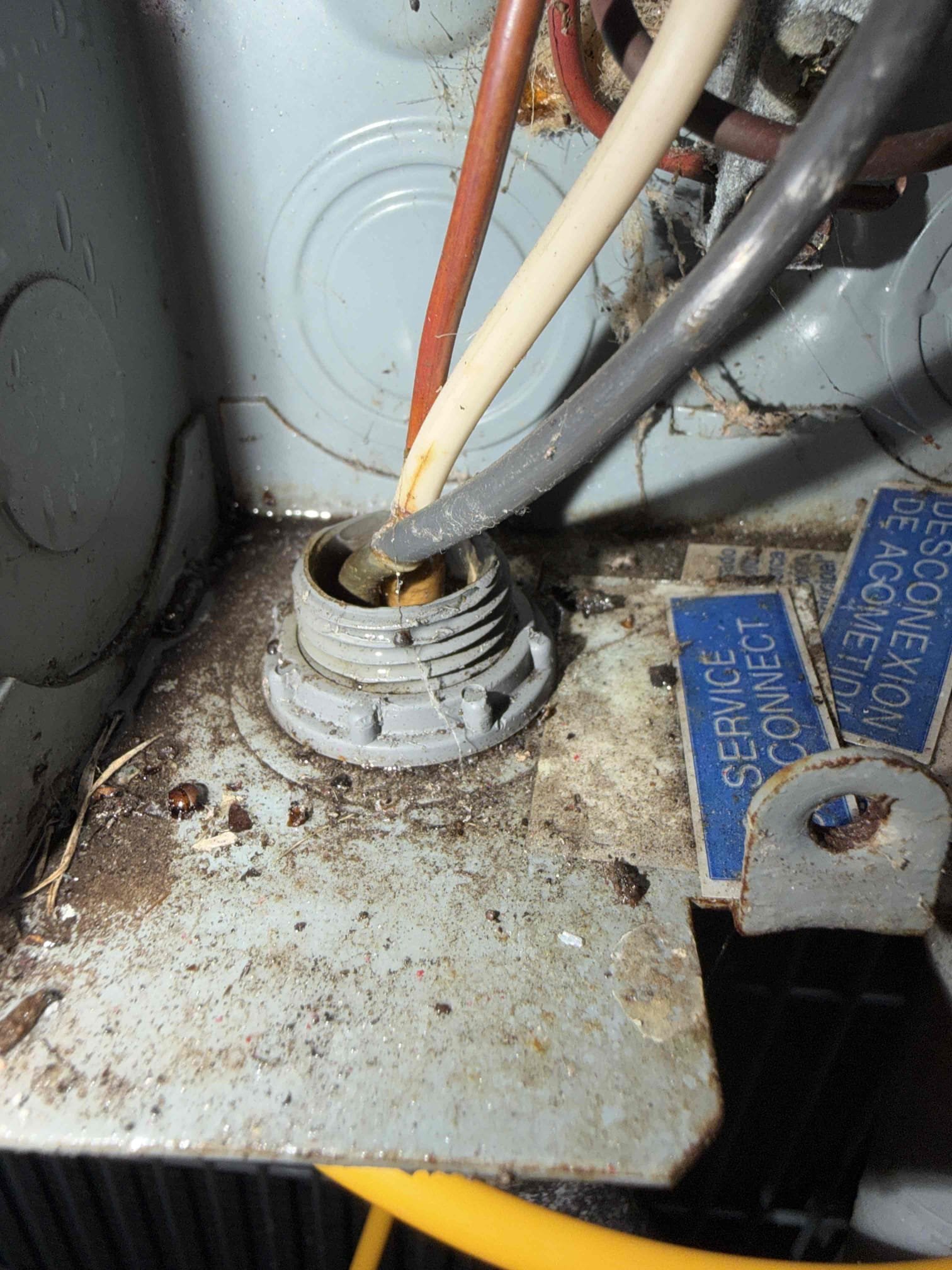 Checked system functions during Maitenence. Found deficiencies within the system and let client know. 
Performed leak search
Evaporator coil leak
Bacterial growth on blower wheel
Suction refrigerant line insulation degraded and falling off
Weak capacitor. 

Client would like to move forward with system replacement. Scheduled for next week. 
