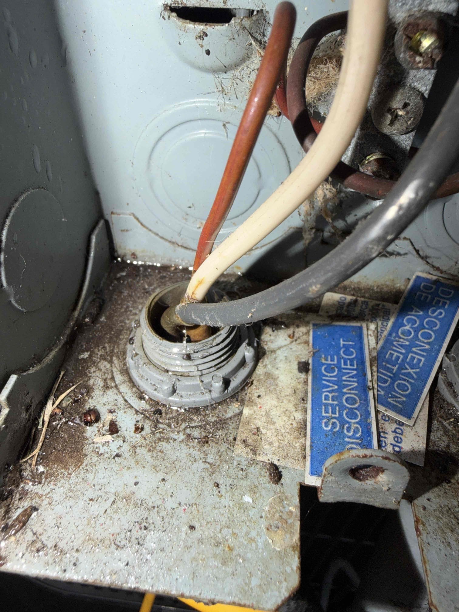 Checked system functions during Maitenence. Found deficiencies within the system and let client know. 
Performed leak search
Evaporator coil leak
Bacterial growth on blower wheel
Suction refrigerant line insulation degraded and falling off
Weak capacitor. 

Client would like to move forward with system replacement. Scheduled for next week. 
