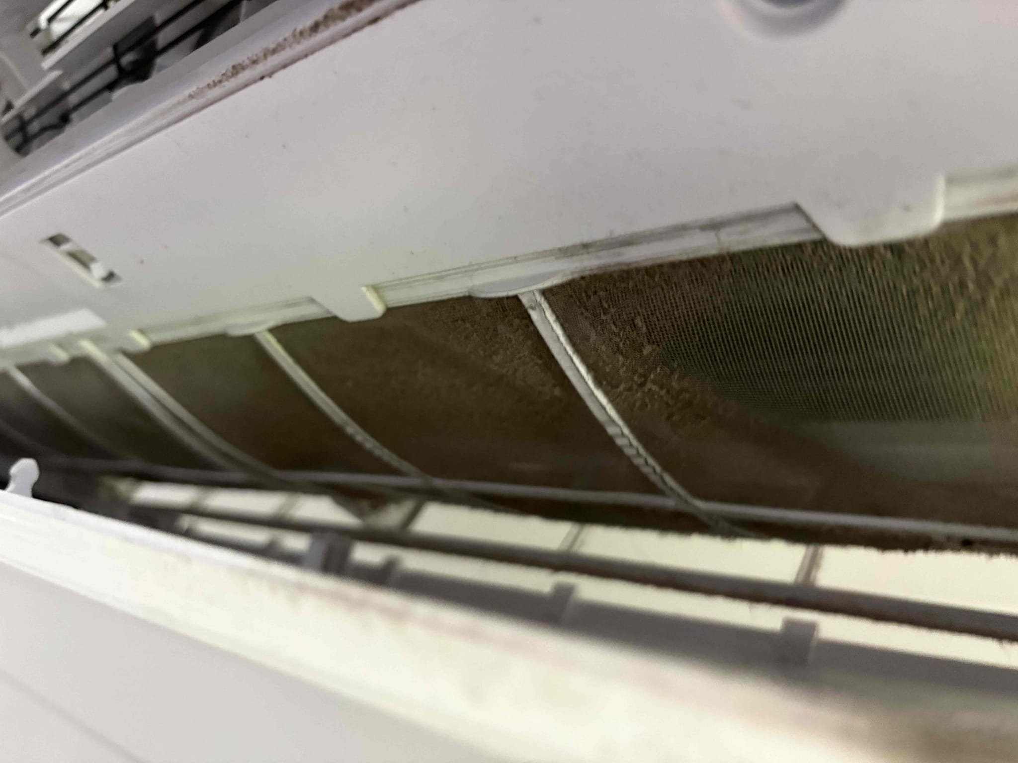 4 Head Units 4 Condensers (Main Home)

2 Head Units 2 Condensers (ADU)

Home owner humidity concern
-ADU has flat roof and believe it is not vented properly. ADU is very humid. Mini splits are sized properly and cooling. Both head units in this area need to be throughly cleaned (filters, coil, blower wheel impacted with growth)

Main home systems are cooling and operating properly 

All 6 Condneser have access refrigerant lines, explained this can cause an oil trap in the systems. Recommend cutting back lines and flaring properly 

Outdoor drain lines not ran in hard piping (draining against side of home)

Went over operations and filters with home owner 