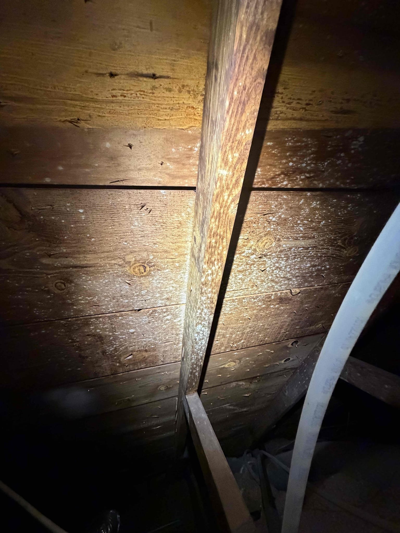 Client states that inspector said there is mold in the attic and holes in the duct work. 

After our inspection, we determined that the attic is poorly ventilated and dew point is too high. The duct work system is old and can only be fully replaced for a guaranteed solution for any major duct work issues. At this time, we do not see any vast major leak points in the duct work however the old duct work does have torn insulation wrap which can cause the inner metal liner to sweat condensation. 

The attic needs better ventilation and installing a solar attic fan would improve conditions in the attic. We recommend a solar attic fan. 

Client mentioned the inspector said there was mold in the air handler. I inspected the air handler and found a small amount of bacterial growth. We recommend a UV air purifier to prevent growth along with a sanitize/wipe down inside the air handler. 

Client does not want to replace duct work at this time. 

Providing quotes for air purifier/cleaning inside 