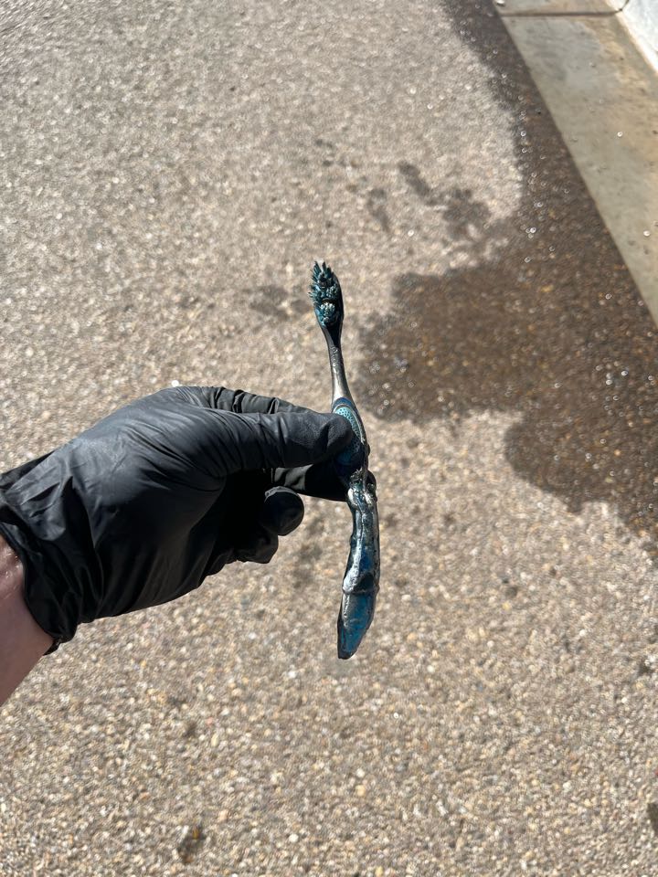 Pulled a toothbrush out of a commode. 