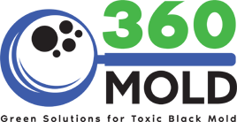 360MOLD