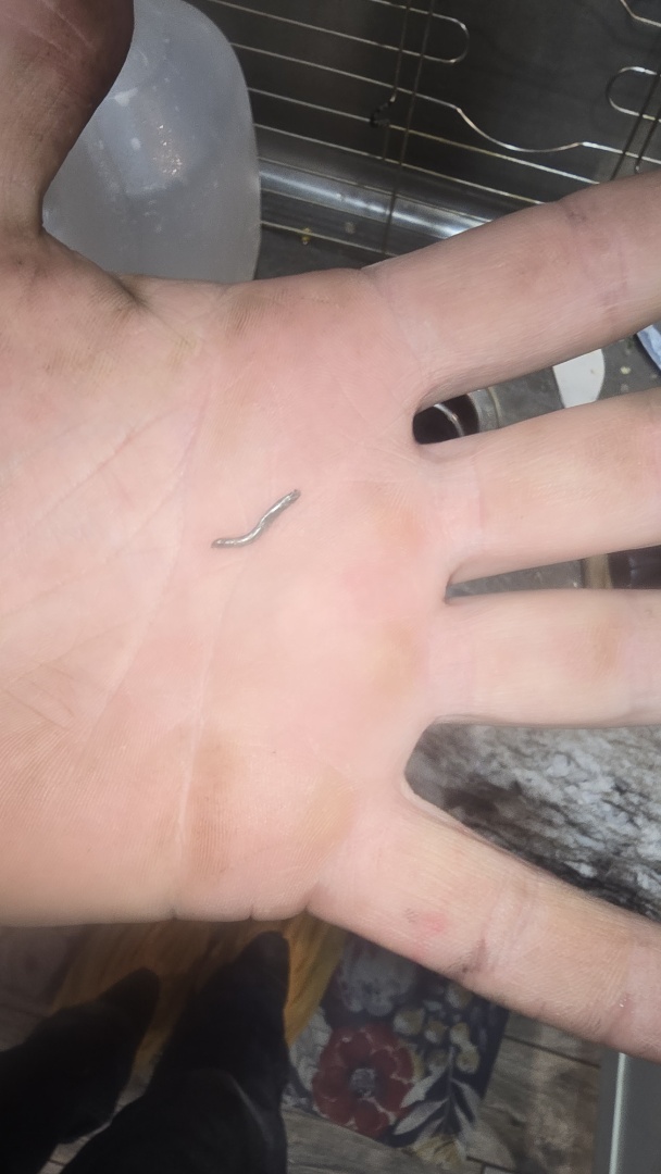 Azle, TX - jammed disposal  Azle, TX - jammed disposal