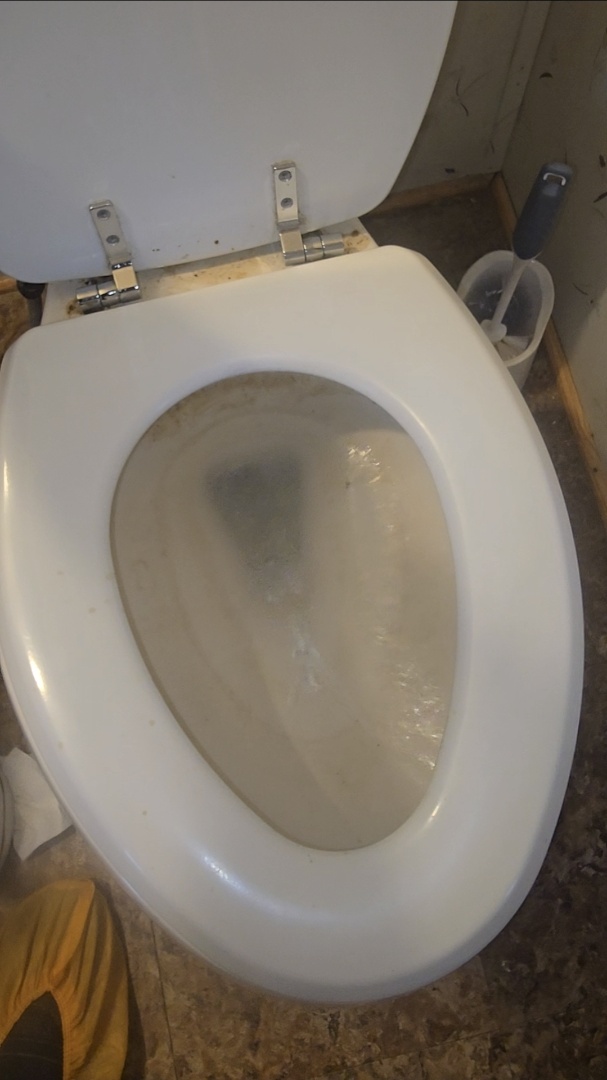 Boyd, TX - clogged toilet  Boyd, TX - clogged toilet