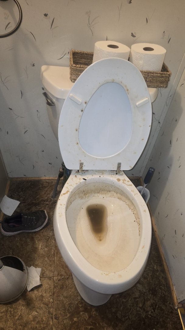 Boyd, TX - clogged toilet  Boyd, TX - clogged toilet