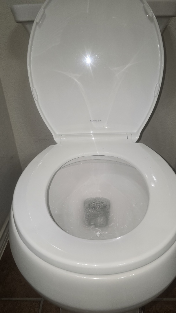 New toilet 