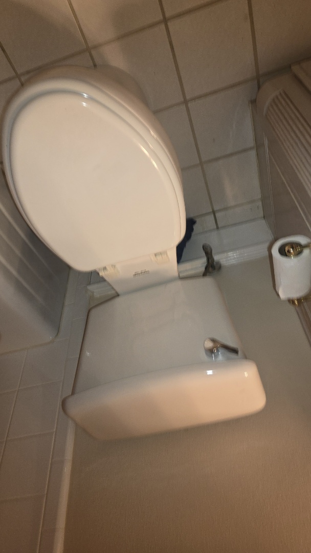 leaking toilet 