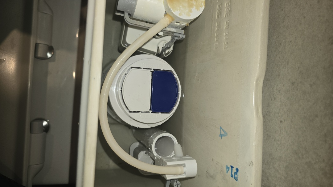 leaking toilet 
