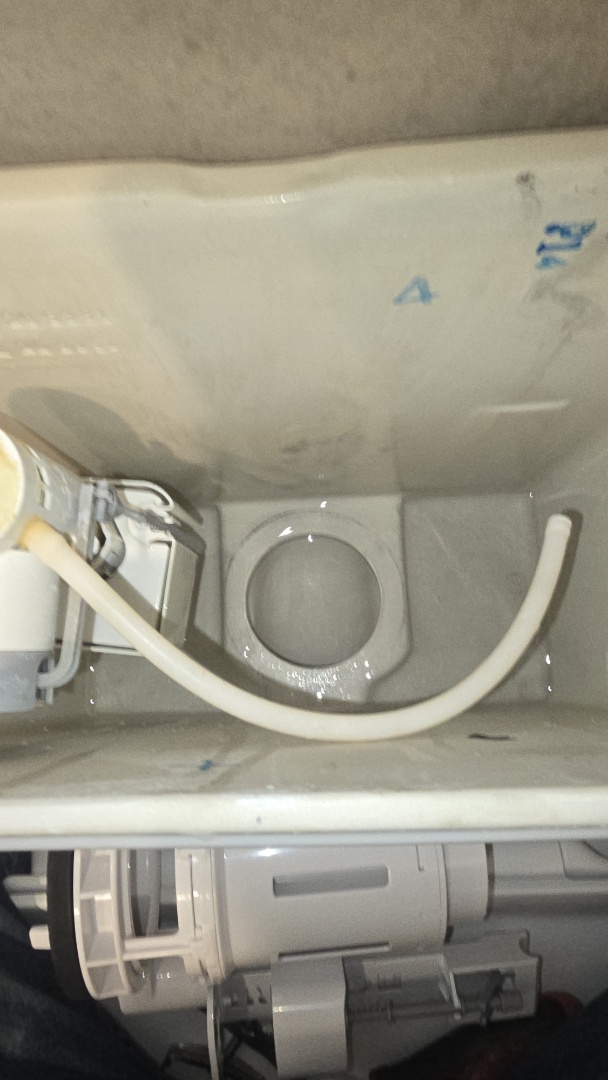 leaking toilet 