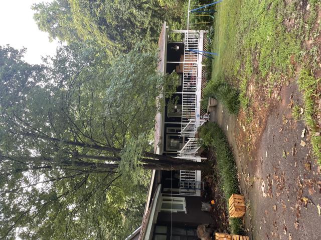 27 windows replacement!