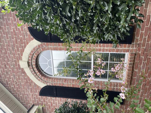 20 windows replacement!!