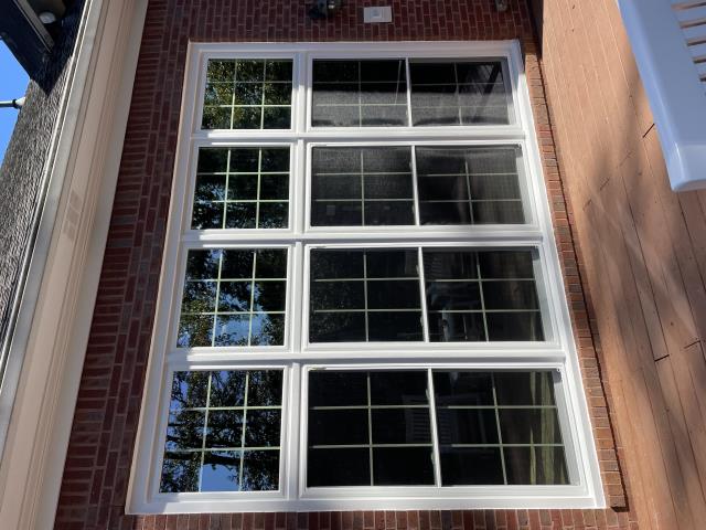 39 windows replacement!