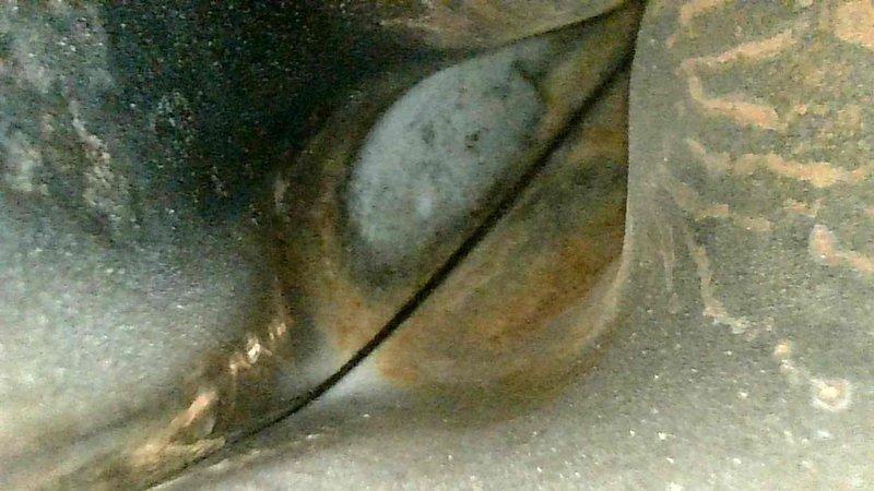 Performed furnace and April Aire humidifier tune-up service. Inspection revealed significant cracks in heat exchanger as documented in photographs. Customer was informed that replacement heating system will be necessary due to compromised heat exchanger integrity.