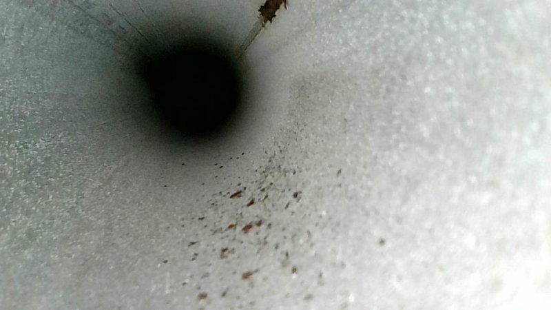 Performed standard clean and check maintenance service on HVAC system. Identified noisy inducer motor during inspection with visible signs of debris accumulation in ductwork. Provided customer with estimate for inducer motor replacement.