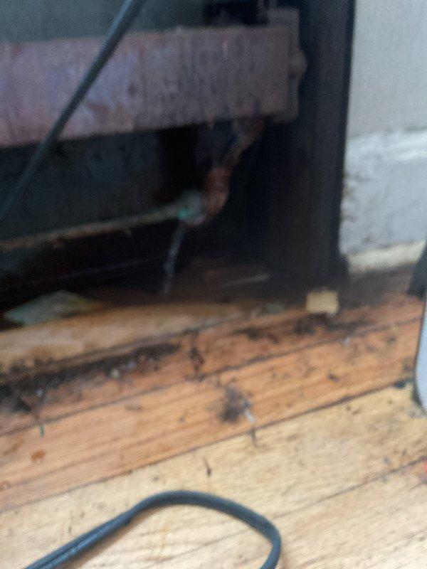 Responded to emergency service call for a 75-year-old boiler system with no heat complaint. Diagnosed air entrainment in the hydronic system causing circulation issues and heat transfer failure. Purged air from the system and recharged the boiler to proper operating pressure, restoring normal heating function and verifying absence of air in circulation loop.