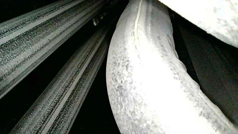 Responded to no heat complaint. Diagnostic inspection revealed severe frost accumulation on refrigerant lines indicating possible refrigerant flow restriction. Inspected ductwork and found rust on internal components suggesting potential moisture issues affecting system performance.