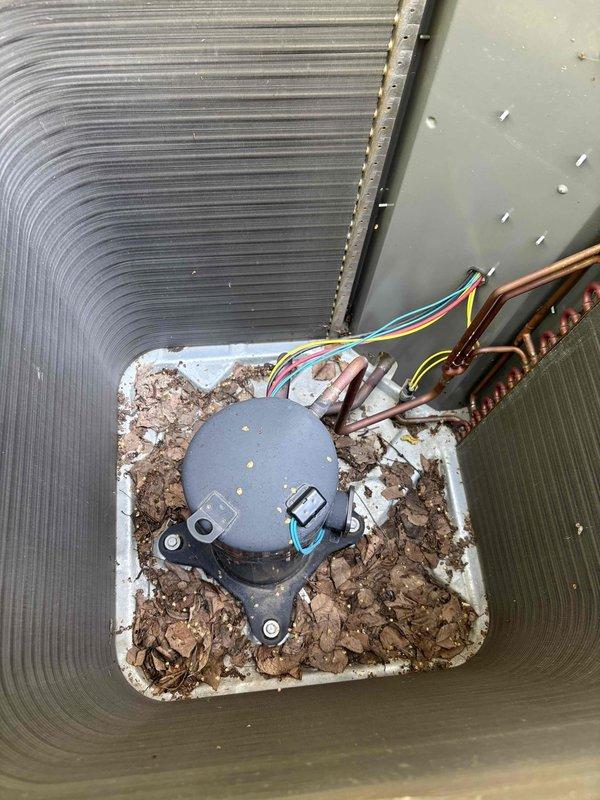Completed prepaid Action Family Rewards cooling maintenance visit on residential air conditioning system. Upon inspection, discovered heavily soiled condenser coil with significant accumulation of leaves, dirt, and organic debris in drain pan affecting system efficiency. Identified damaged fan motor wire with insulation cut that posed potential electrical hazard. Thoroughly cleaned condenser coil to restore proper heat transfer and airflow. Repaired compromised wire insulation to prevent short circuit. Verified proper system operation and capacitor reading of 44.3 μF within acceptable range. Unit returned to normal operating condition.
