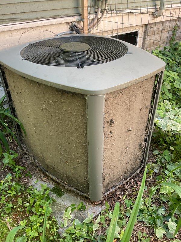 Responded to service call for air conditioning system blowing warm air with compressor running. Upon arrival, found outdoor condenser unit heavily soiled with dirt, algae, and mold growth on cabinet surfaces and significant vegetation growth obstructing airflow around unit. Performed thorough cleaning of condenser coils and cabinet, removed debris and vegetation from around equipment, and restored proper airflow clearances. System tested and confirmed cooling operation restored to normal parameters.