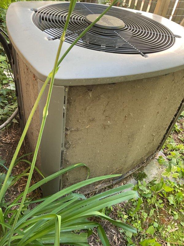 Responded to service call for air conditioning system blowing warm air with compressor running. Upon arrival, found outdoor condenser unit heavily soiled with dirt, algae, and mold growth on cabinet surfaces and significant vegetation growth obstructing airflow around unit. Performed thorough cleaning of condenser coils and cabinet, removed debris and vegetation from around equipment, and restored proper airflow clearances. System tested and confirmed cooling operation restored to normal parameters.