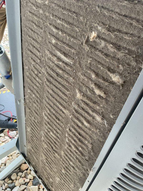 Responded to no cooling complaint on one-year-old air conditioning system. Upon inspection, found low refrigerant charge and heavily contaminated condenser coil with significant dust and debris accumulation restricting airflow. Thoroughly cleaned condenser coil to restore proper heat exchange efficiency and recharged system with refrigerant to manufacturer specifications. System tested and confirmed operational with proper cooling restored.