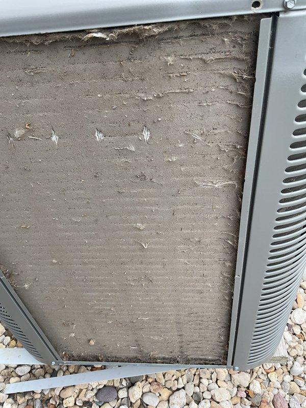 Responded to no cooling complaint on one-year-old air conditioning system. Upon inspection, found low refrigerant charge and heavily contaminated condenser coil with significant dust and debris accumulation restricting airflow. Thoroughly cleaned condenser coil to restore proper heat exchange efficiency and recharged system with refrigerant to manufacturer specifications. System tested and confirmed operational with proper cooling restored.