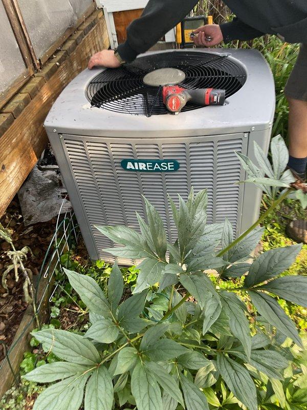 Completed annual maintenance on both air conditioning and heating systems. Performed comprehensive clean and check on Goodman furnace and AirEase condenser unit, with both systems operating within normal parameters. Verified condenser capacitor and contactor functionality, confirmed refrigerant levels appropriate for ambient temperature conditions. Measured furnace igniter at 48 ohms, inspected blower fan spin screen, and confirmed recent filter replacement. Exterior condenser coil washed to remove debris and improve heat transfer efficiency. Cleaned flame sensor and tightened all electrical connections to ensure reliable operation. Removed and cleaned condensate drain trap, inspected pressure switch ports for obstructions, and cleared header box end to maintain proper drainage and system safety.