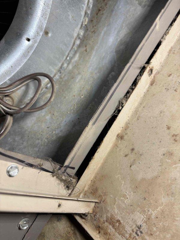 # Annual Furnace Maintenance Summary

Completed comprehensive annual maintenance and tune-up on an 11-year-old residential furnace system. Performed standard heating season preparation including thorough cleaning and inspection of all major components.

# Work Performed

Conducted complete furnace clean and check procedure. Inspected heat exchanger for cracks, corrosion, and structural integrity. Verified proper combustion chamber condition and burner assembly operation. Cleaned burners and adjusted flame pattern for optimal efficiency. Checked and cleaned blower assembly, including motor and fan blades. 

Inspected all electrical connections and tightened terminals as needed. Verified proper operation of safety controls including limit switches and flame sensors. Tested ignition system for reliable startup. Checked gas pressure and adjusted as necessary to manufacturer specifications.

Replaced air filter and inspected ductwork connections visible at furnace cabinet. Noted typical age