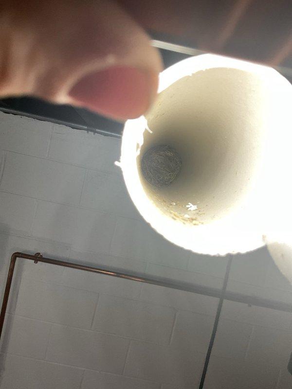 Diagnosed a no-heat condition on a Goodman furnace and found the vent/flue termination pipe blocked by a nest of dried grass and debris, preventing proper exhaust and causing the unit to lock out. Cleared the obstruction from the PVC vent, restored unrestricted venting, and cycled the furnace through a complete heating sequence to verify normal operation.