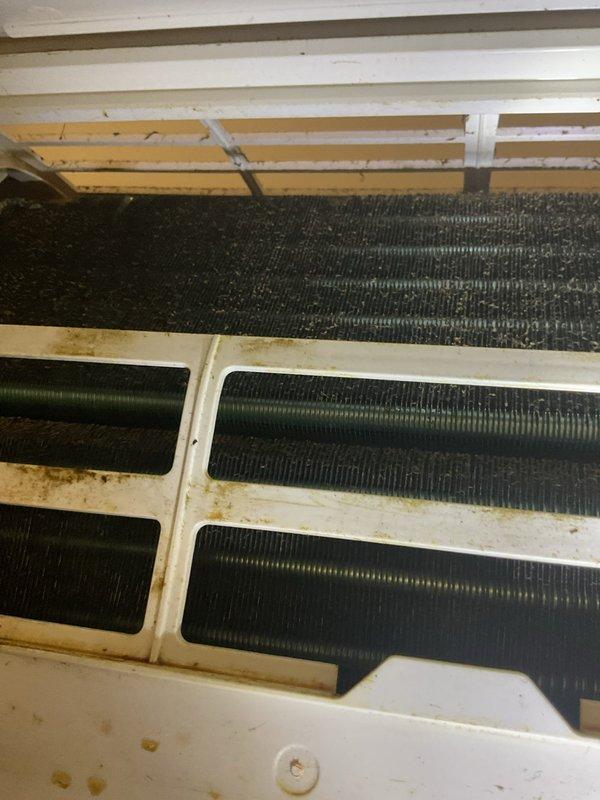Diagnosed a non-operational ductless split system with a failed outdoor condenser unit; found burned conductors in the aging equipment. Repaired the damaged wiring and restored power and control connections between the indoor and outdoor units. Verified refrigerant system pressures were within normal operating range and confirmed the system is running properly. Indoor evaporator coil and housing were observed to have heavy dust, grime, and staining that should be addressed with a thorough cleaning to maintain efficiency and indoor air quality.