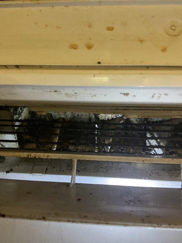 Diagnosed a non-operational ductless split system with a failed outdoor condenser unit; found burned conductors in the aging equipment. Repaired the damaged wiring and restored power and control connections between the indoor and outdoor units. Verified refrigerant system pressures were within normal operating range and confirmed the system is running properly. Indoor evaporator coil and housing were observed to have heavy dust, grime, and staining that should be addressed with a thorough cleaning to maintain efficiency and indoor air quality.