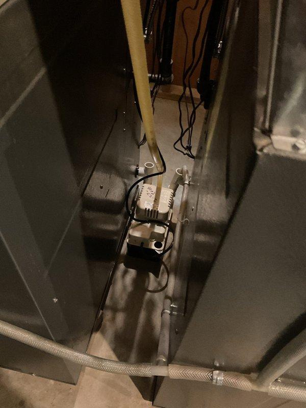 Performed scheduled furnace cleaning and safety inspection as part of a prepaid maintenance visit, cleaning the unit and verifying proper operation. Inspected the Honeywell whole-home humidifier mounted on the supply plenum along with its associated wiring, tubing, and sensor, and checked the condensate pump and drain line for secure connections and proper routing, with no leaks, corrosion, or visible damage observed.