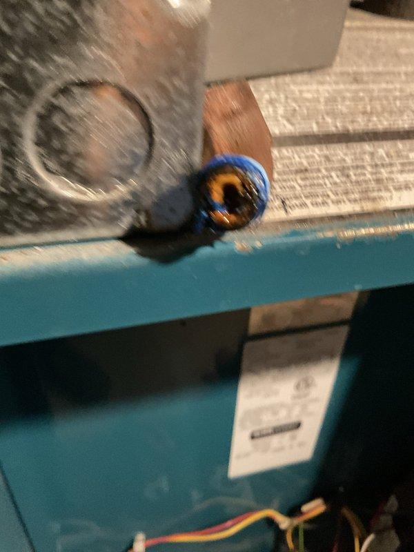 Performed a tune-up and safety inspection on a steam boiler. Found the pressure control pigtail heavily fouled and plugged, preventing the pressuretrol from operating. Cleared and cleaned the pigtail, then blew down approximately 15 gallons of water to flush the system, and verified the boiler fired back up and operated properly.