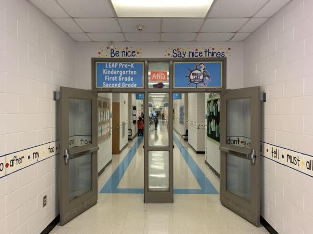 window wraps and PVC panel