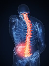 Florida Chiropractic and Sports Rehab Center