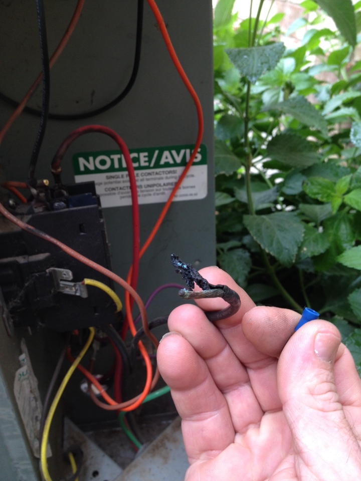 A/C condenser burned wiring