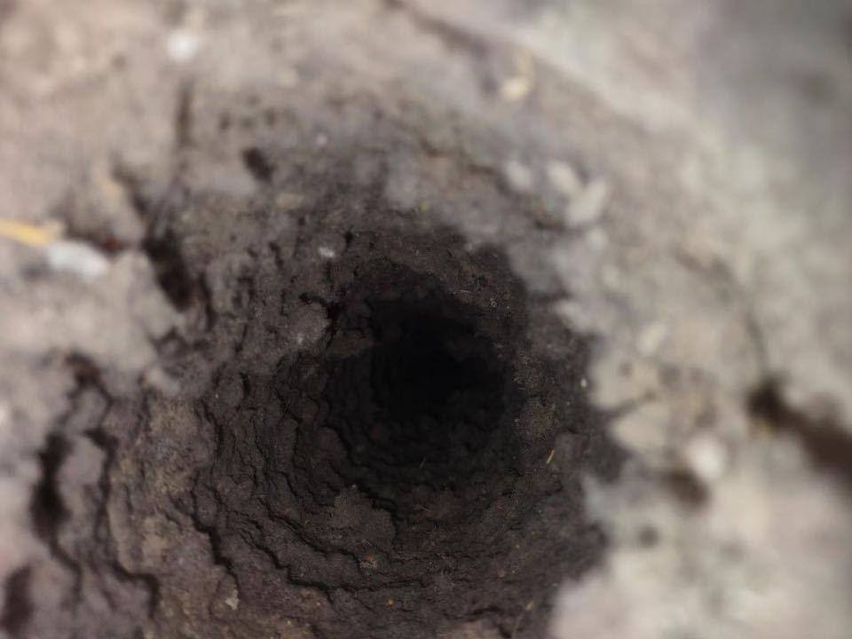 Before and after photos of dryer vent cleaning, lent removal from pipe. 