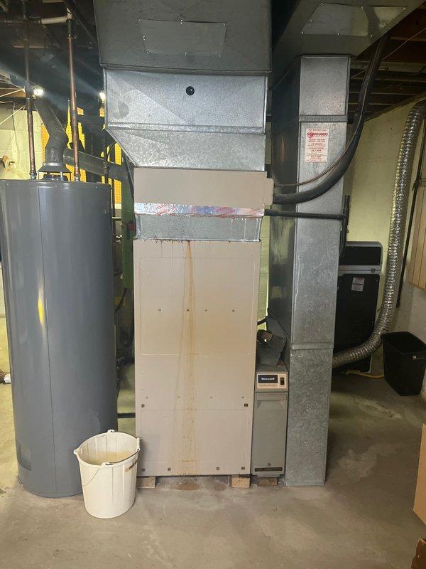 Completed furnace retrofit in residential basement utility room, replacing an aging York system that showed significant water damage and rust. The installation included proper connection to existing ductwork while maintaining connections to the adjacent Rheem water heater and lime-green humidifier tank.