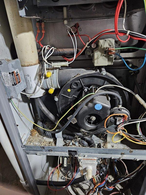 Completed furnace clean and check service, performing comprehensive inspection and combustion analysis with readings showing proper operation (CO at 14 ppm, CO2 at 6.32%). Cleaned internal components and blower assembly where dust accumulation was observed. Customer enrolled in BOGO maintenance agreement for continued system care.